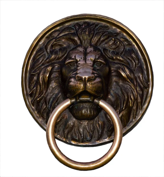 Lion bronze — Stock Photo, Image