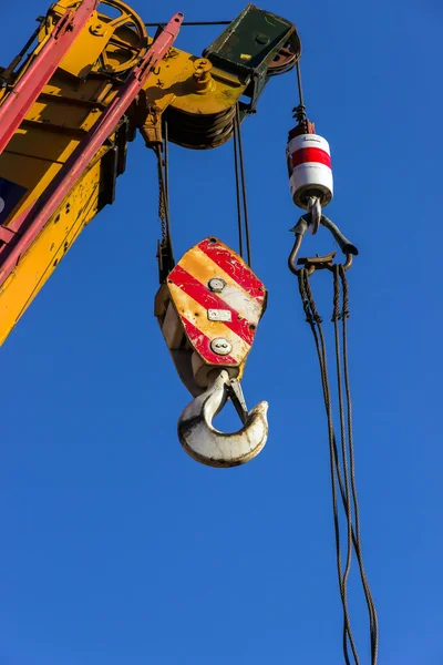 Grifo de gancho — Foto de Stock