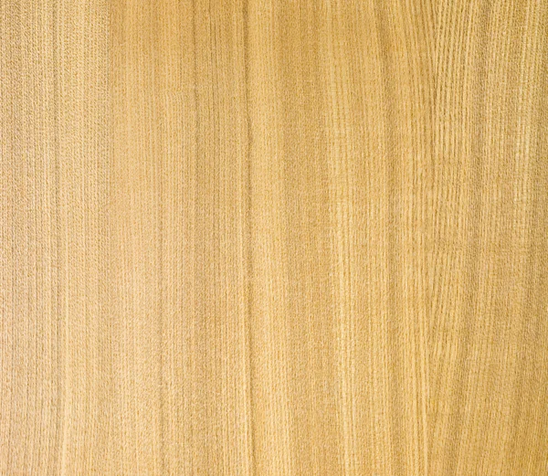 Element nature wood — Stock Photo, Image