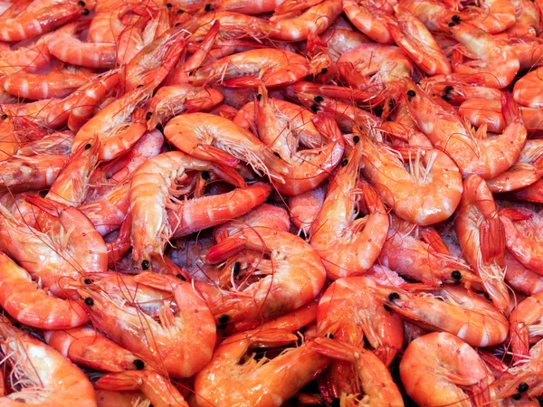 Prawn shrimps background — Stock Photo, Image