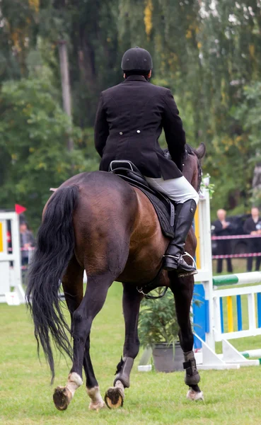 Cavallo e cavaliere — Foto Stock