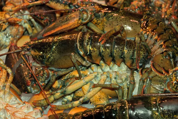 Cangrejos de río fondo alimentos mar — Foto de Stock
