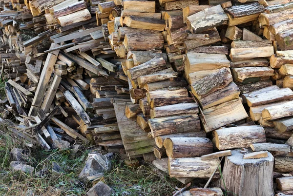 Pila de leña de madera en el bosque — Foto de Stock