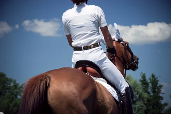 Pensos de equitação — Fotografia de Stock