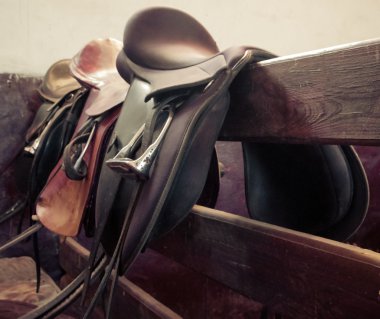 leather saddle horse, vintage retro style clipart