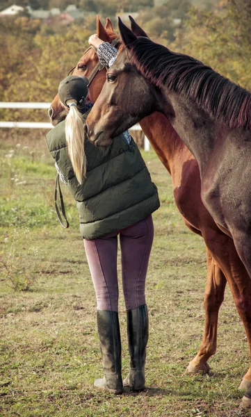 Jinete a caballo, estilo retro vintage — Foto de Stock