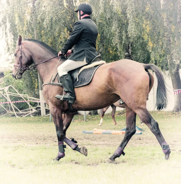 Rider op paard, vintage retro stijl — Stockfoto