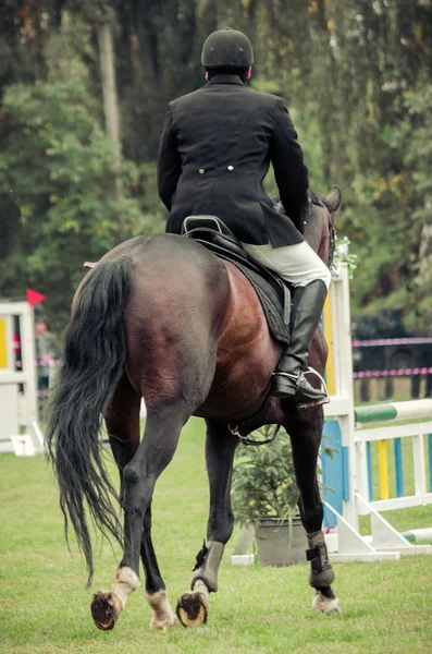 Jinete a caballo, estilo retro vintage —  Fotos de Stock