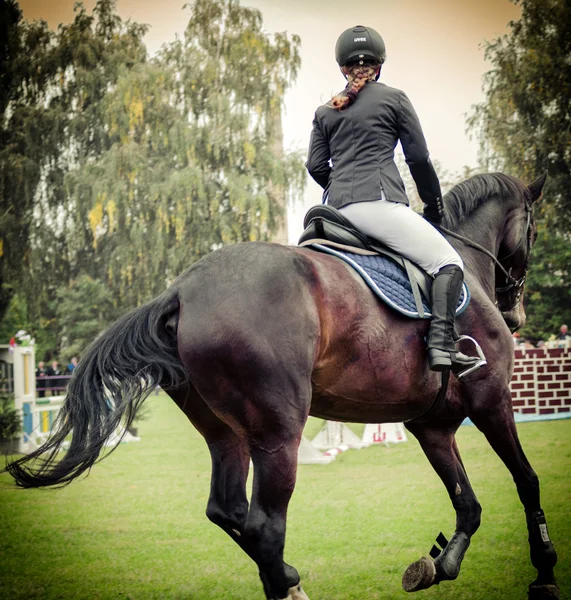 Rider on horse, vintage retro style — Stock Photo, Image