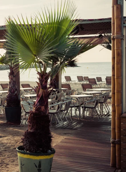 Пляж кафе Барселоні. Каталонія, Іспанія — стокове фото