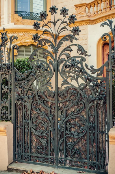 Porta de ferro — Fotografia de Stock