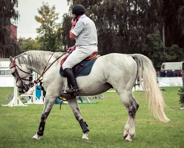 Cavalo e cavaleiro — Fotografia de Stock