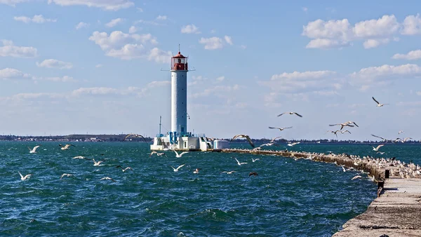 Leuchtturm — Stockfoto