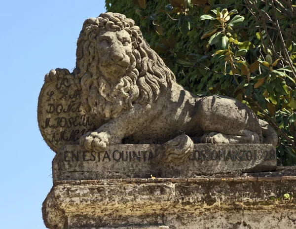 Statua lwa — Zdjęcie stockowe