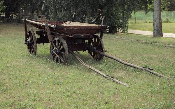 Winkelwagen op weide — Stockfoto