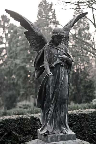 Statyn ängel — Stockfoto