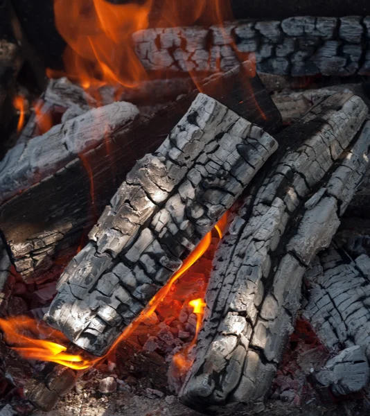 Fuego calentador de leña — Foto de Stock