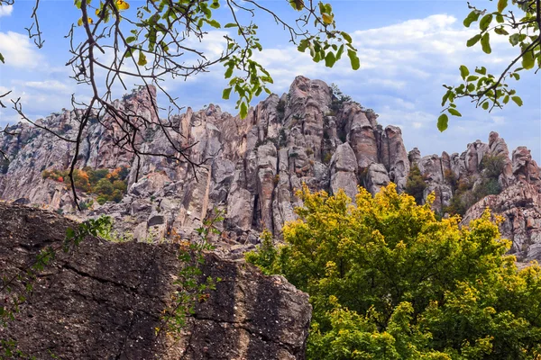 Peak mountain — Stock Photo, Image