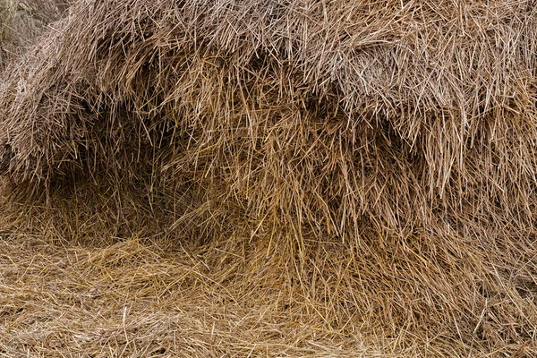 Heustroh stapeln — Stockfoto