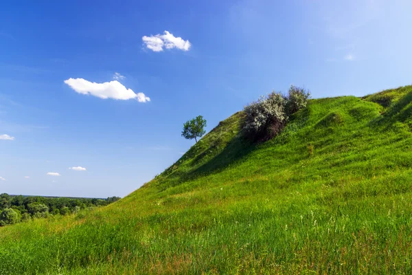 Collina verde — Foto Stock