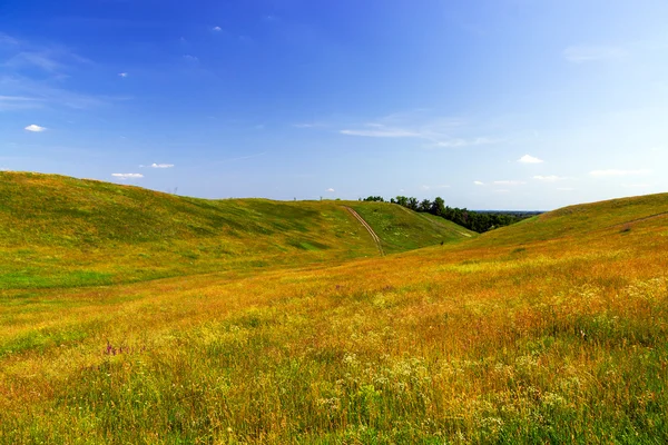 Strada nel verde delle colline — Foto Stock