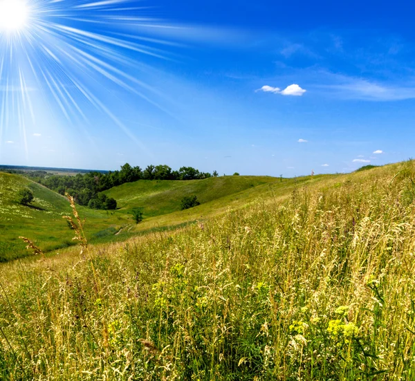 Green hills field Royalty Free Stock Photos