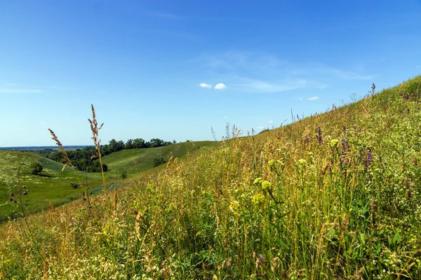 Gröna kullar — Stockfoto