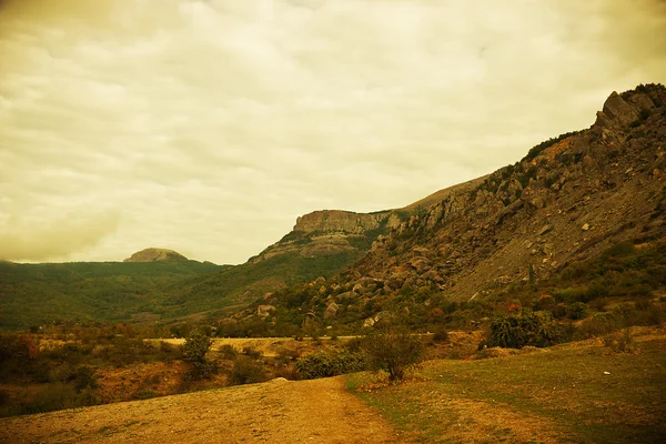 Road in mountains meadow — Stock Photo, Image