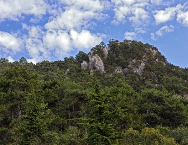 Summer mountain landscape — Stock Photo, Image