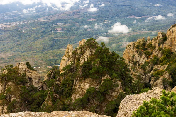 Yaz dağı manzarası — Stok fotoğraf