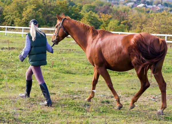 Cowgirl lopen haar paard — Stockfoto