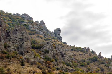 Yaz dağı manzarası