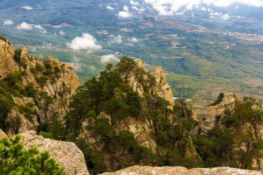 Yaz dağı manzarası