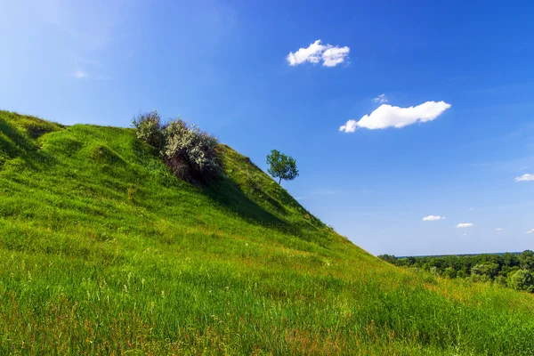Green hill — Stock Photo, Image