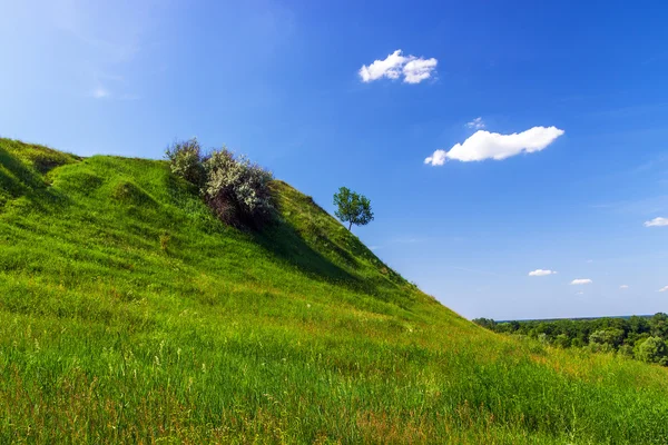 Collina verde — Foto Stock