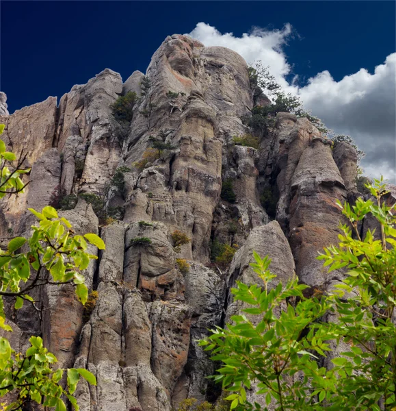 Paysage de montagne d'été — Photo