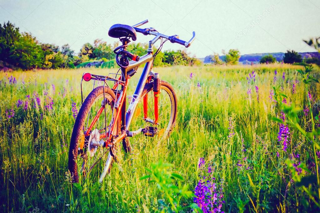 bicycle on meadow