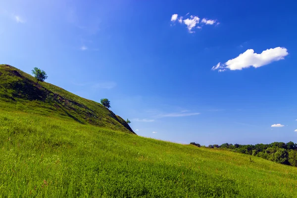 Green hills — Stock Photo, Image