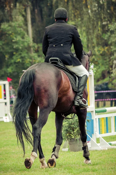 Cavaleiro a cavalo, estilo retro vintage — Fotografia de Stock