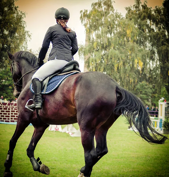 Jinete a caballo, estilo retro vintage — Foto de Stock