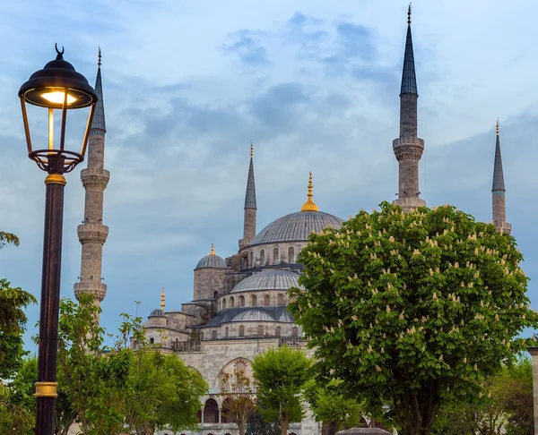 Sultanahmet - blaue Moschee, Istanbul, Türkei — Stockfoto