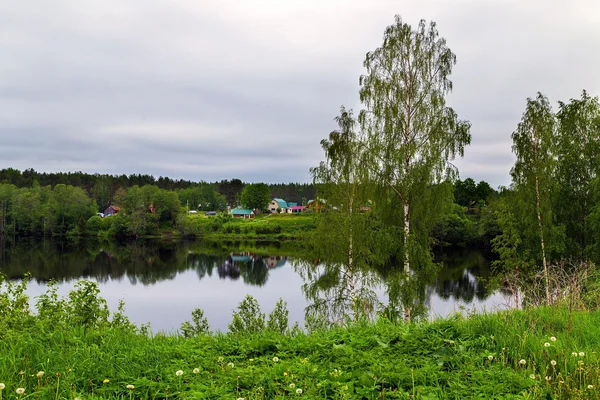 Björk på kusten sjö — Stockfoto