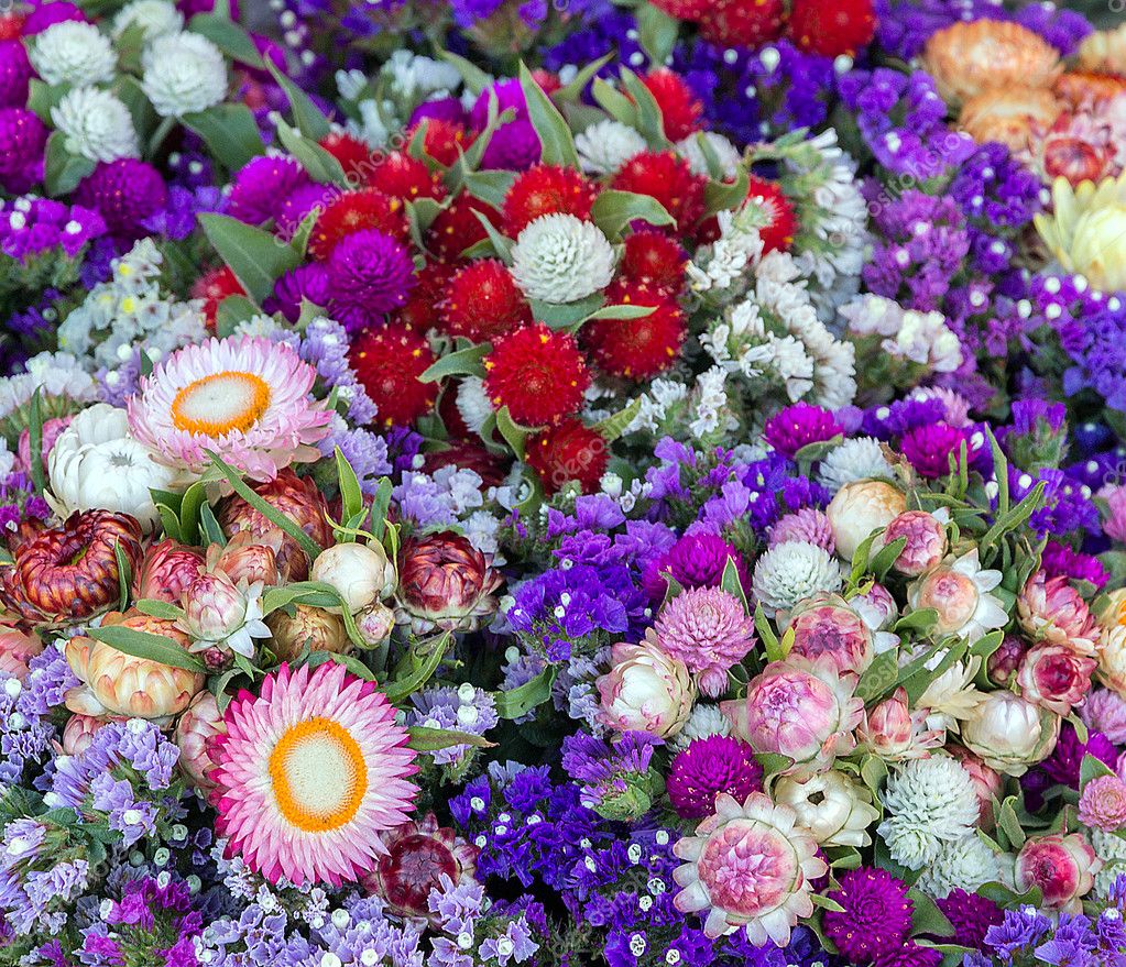 Natural Bunch Flowers Background Stock Photo Image By C Fotoall 49683089