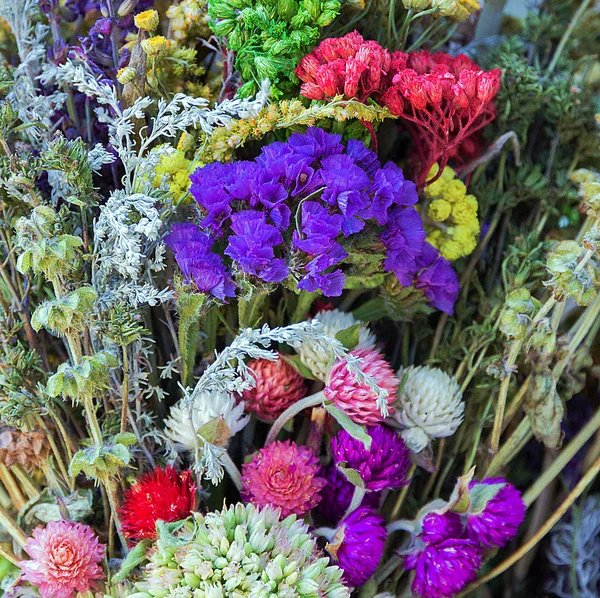 Natural bunch flowers background — Stock Photo, Image