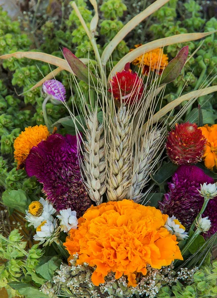 Natural bunch flowers background — Stock Photo, Image