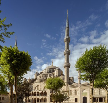 İstanbul 'daki Mavi Cami