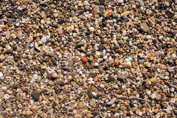 Fondo de piedra marina — Foto de Stock