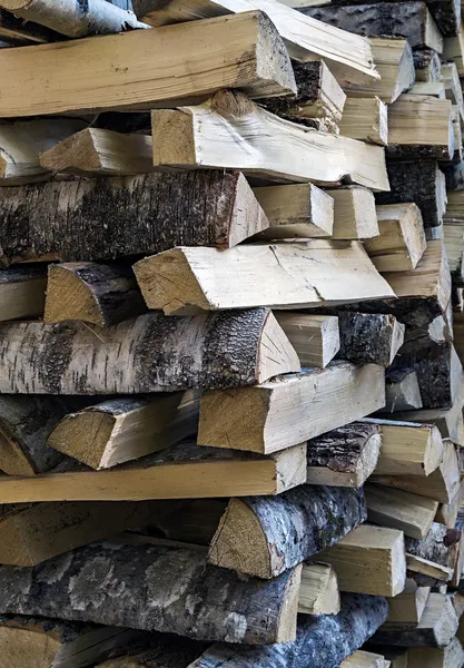 Stacked logs — Stock Photo, Image