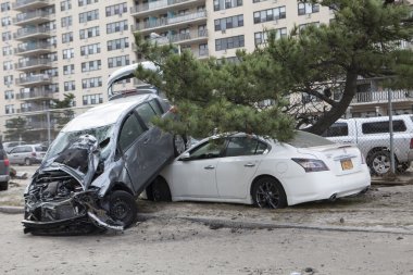 kumlu bir kasırga. ardından new York
