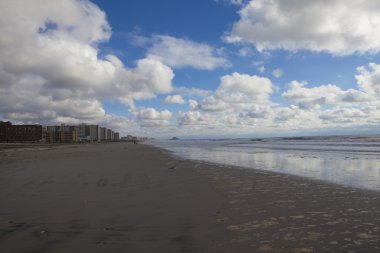 kumlu bir kasırga. ardından new York